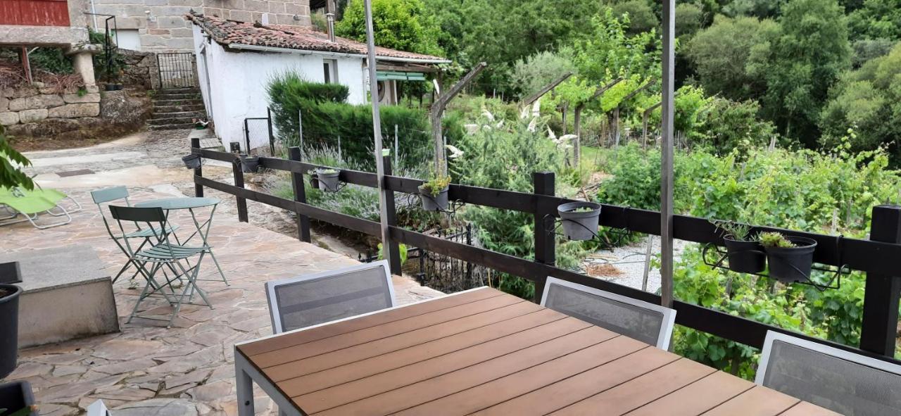 Casa Da Vina - Ribeira Sacra Villa Nogueira De Ramuin Eksteriør billede