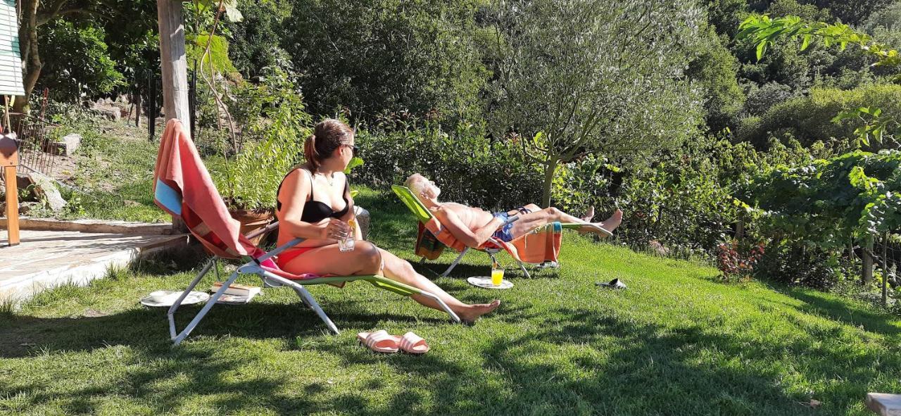 Casa Da Vina - Ribeira Sacra Villa Nogueira De Ramuin Eksteriør billede