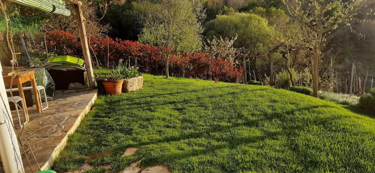 Casa Da Vina - Ribeira Sacra Villa Nogueira De Ramuin Eksteriør billede