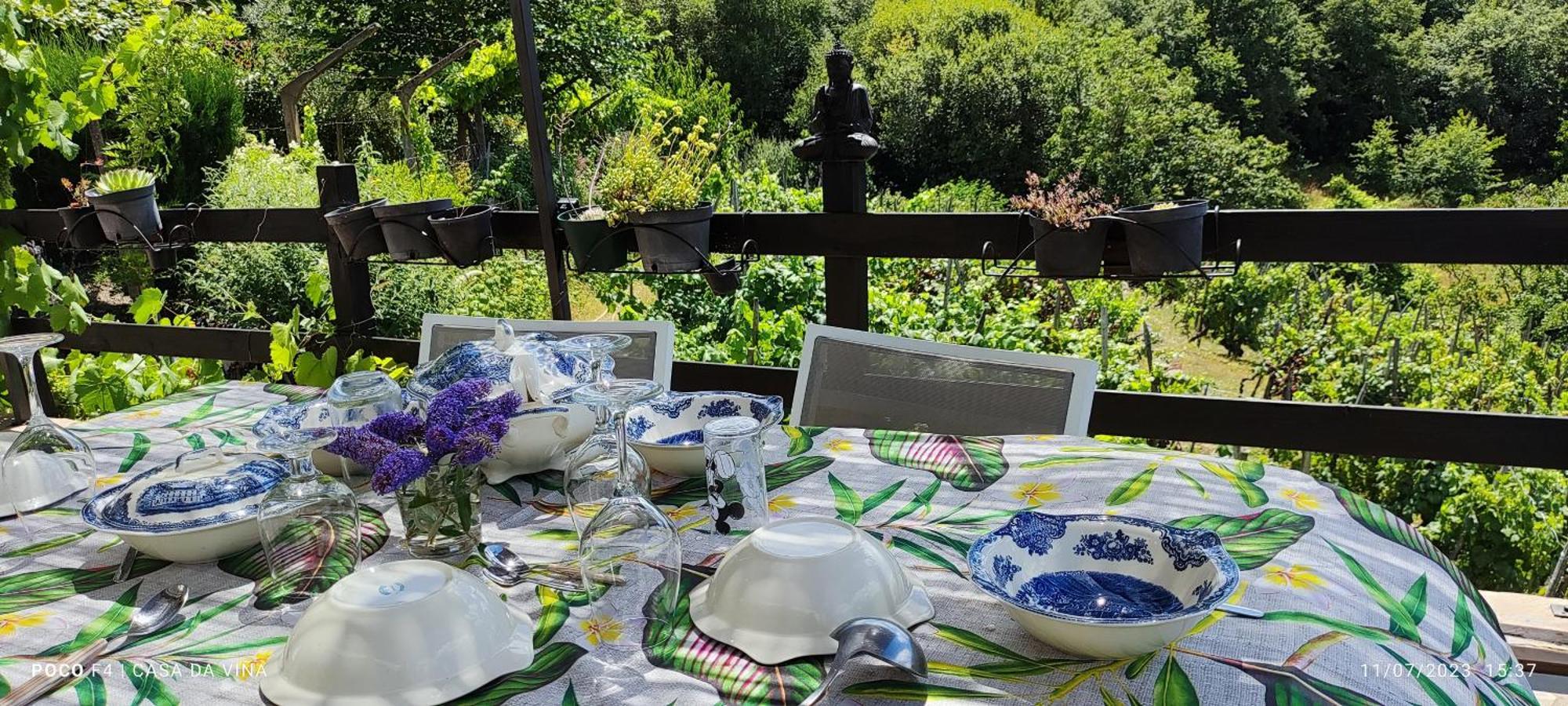 Casa Da Vina - Ribeira Sacra Villa Nogueira De Ramuin Eksteriør billede