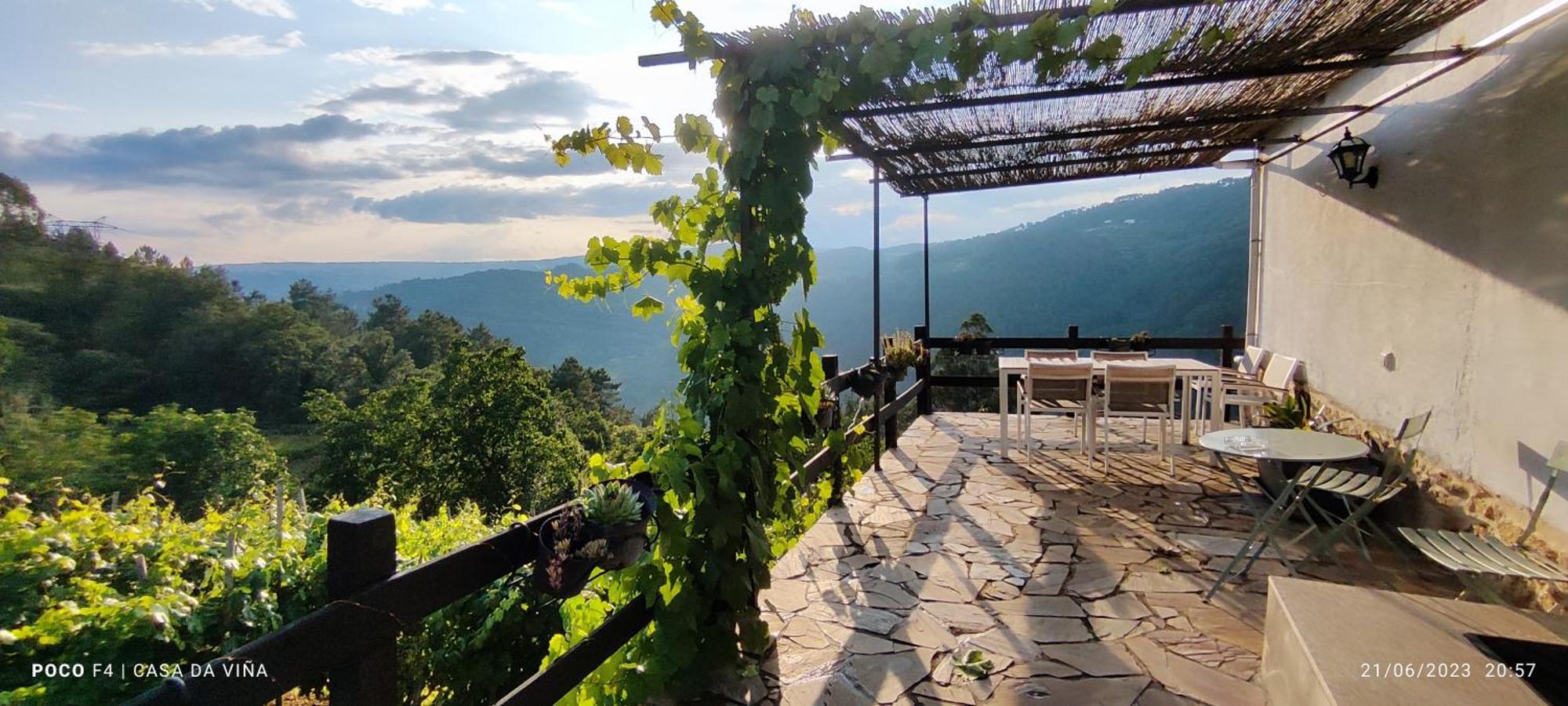 Casa Da Vina - Ribeira Sacra Villa Nogueira De Ramuin Eksteriør billede