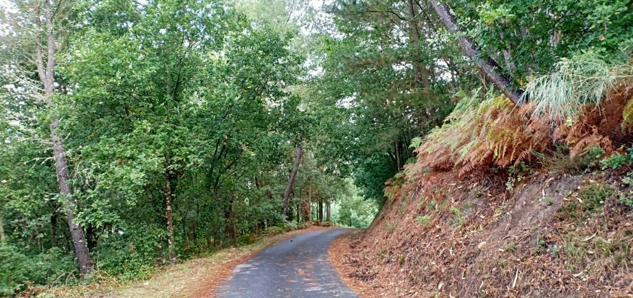 Casa Da Vina - Ribeira Sacra Villa Nogueira De Ramuin Eksteriør billede