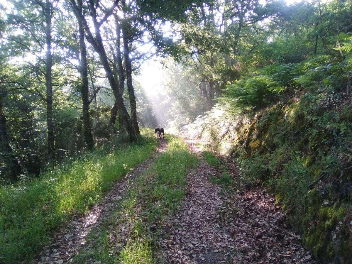 Casa Da Vina - Ribeira Sacra Villa Nogueira De Ramuin Eksteriør billede