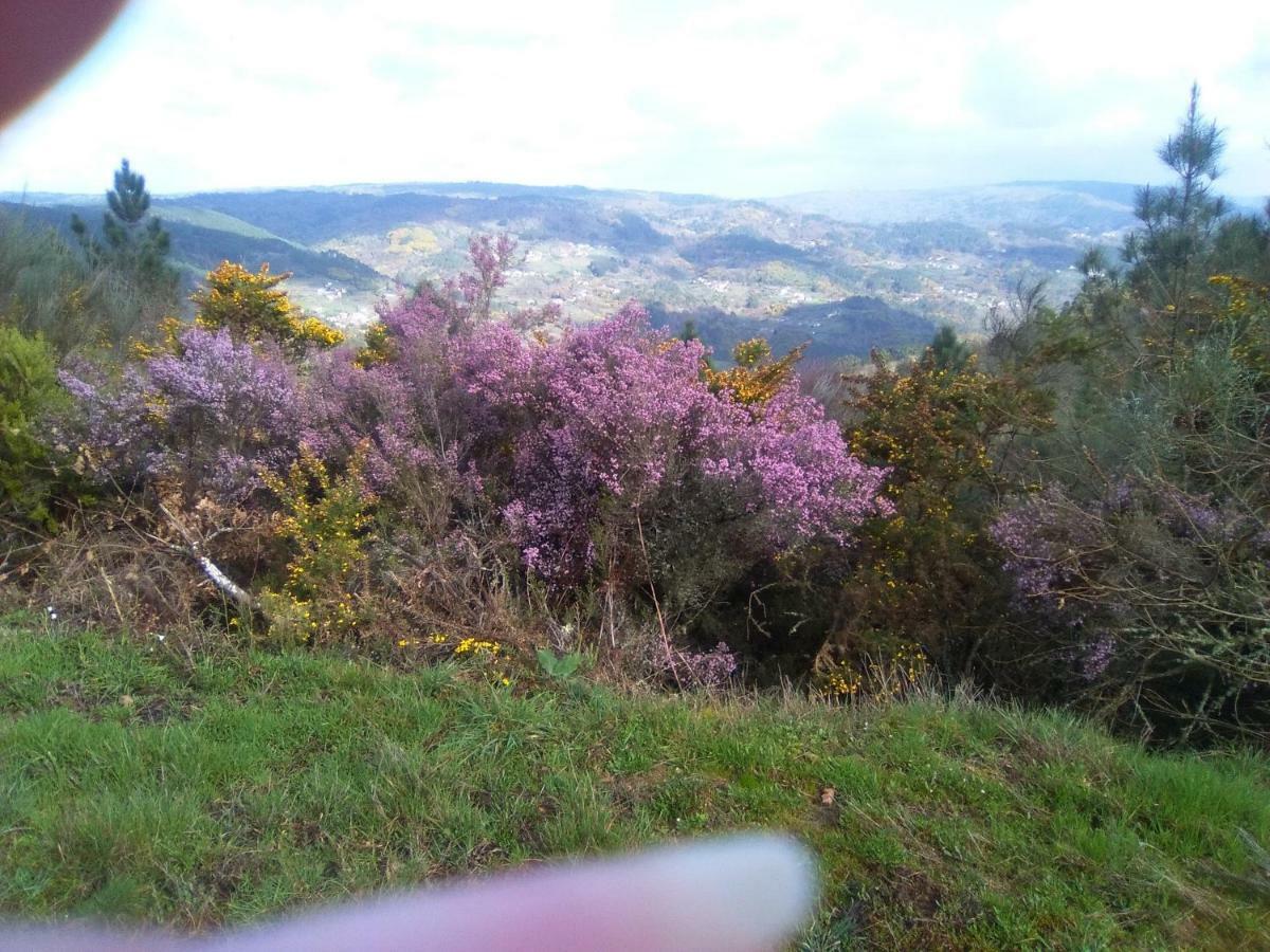 Casa Da Vina - Ribeira Sacra Villa Nogueira De Ramuin Eksteriør billede