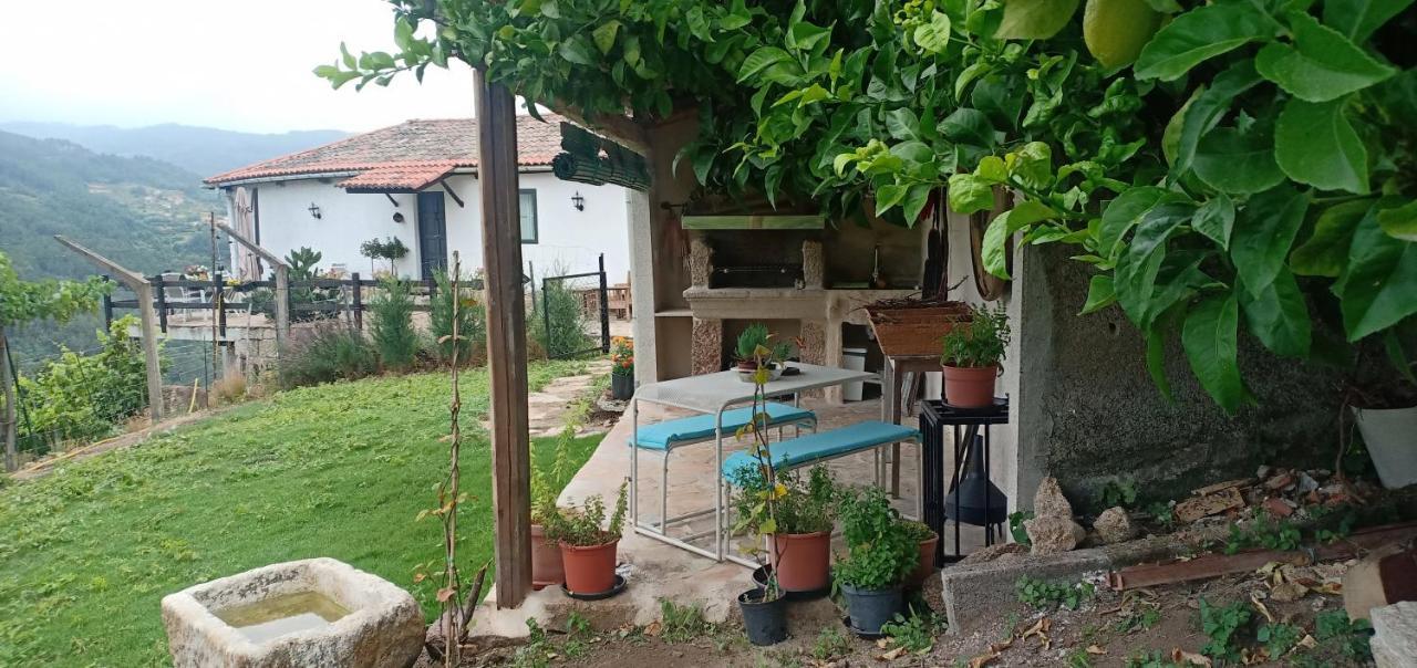 Casa Da Vina - Ribeira Sacra Villa Nogueira De Ramuin Eksteriør billede