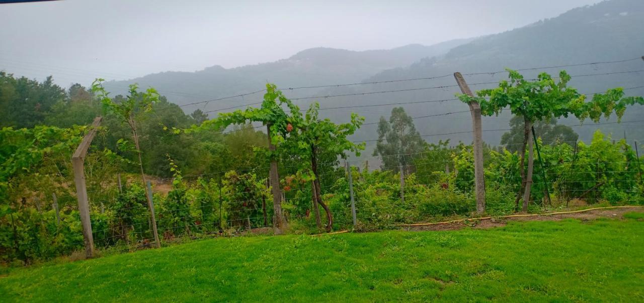 Casa Da Vina - Ribeira Sacra Villa Nogueira De Ramuin Eksteriør billede