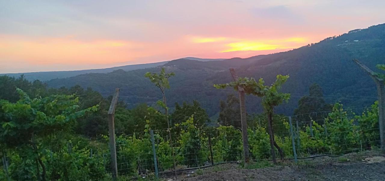 Casa Da Vina - Ribeira Sacra Villa Nogueira De Ramuin Eksteriør billede