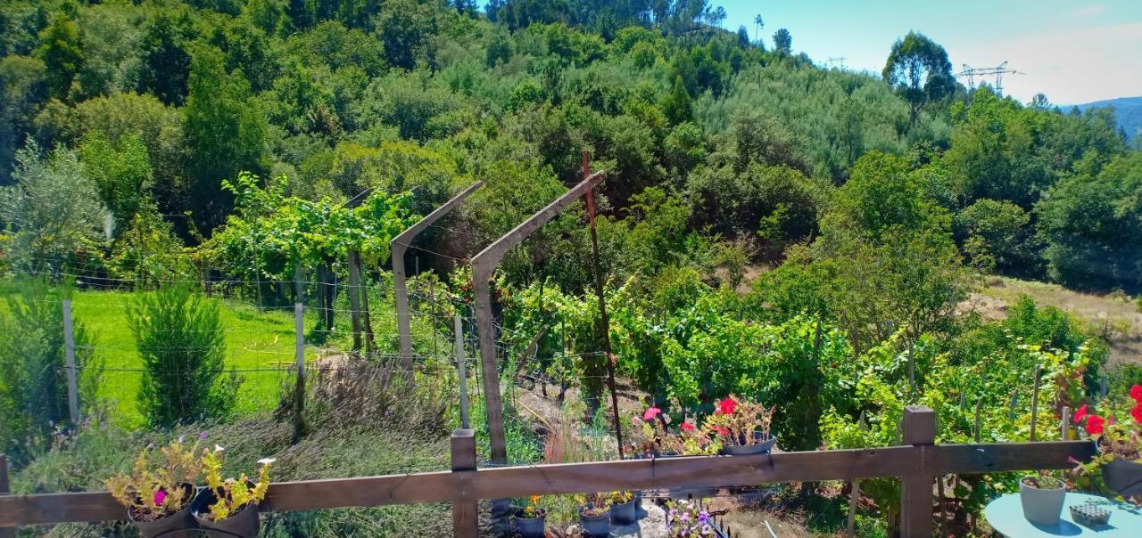 Casa Da Vina - Ribeira Sacra Villa Nogueira De Ramuin Eksteriør billede